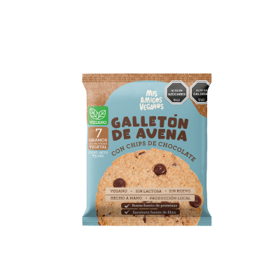 Galletón chips de chocolate 75gx10
